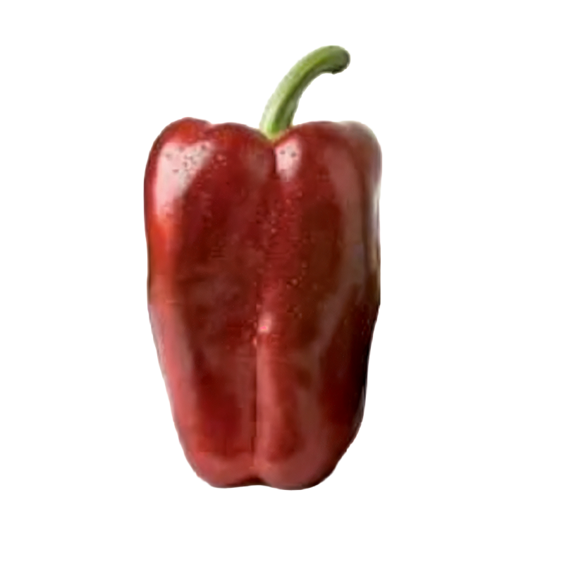 PANCA
