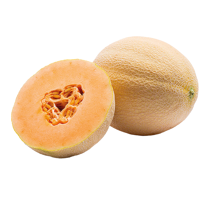 PERLINA